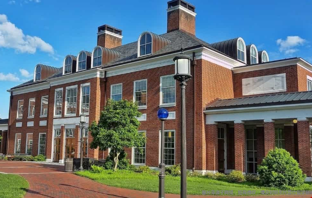 统计学专业读美研还是博士