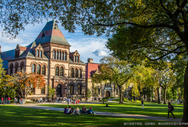 布朗大学Macc专业好不好