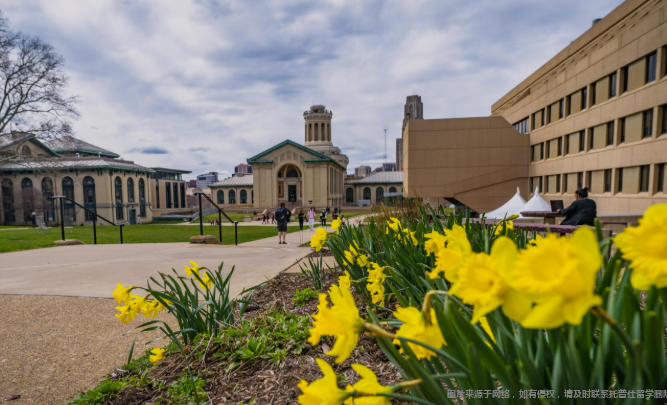 申请CMU研究生需要什么水平