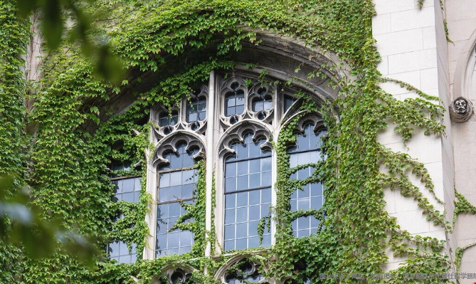 芝加哥大学应用数据科学硕士录取要求