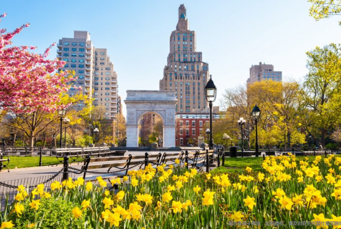 申请美本留学一般选几所大学