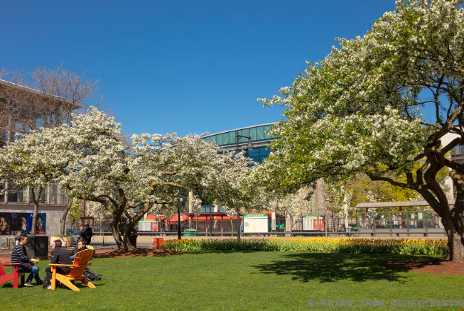 美国硕士留学最受欢迎的专业