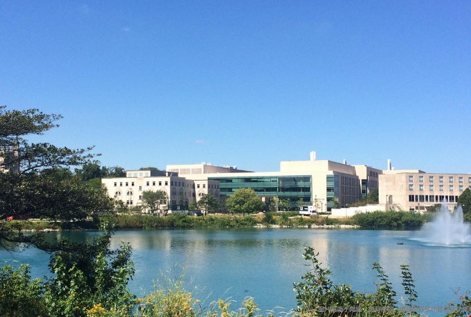 美国西北大学法学硕士录取难度