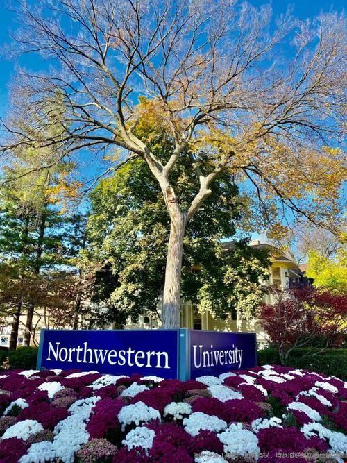 1773035196750209.jpg u=3679415526,1716904781&fm=253&app=138&f=JPEG.jpg