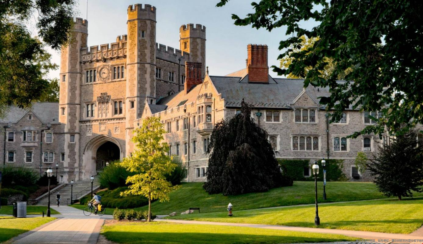 1773625388123477.png 0.png