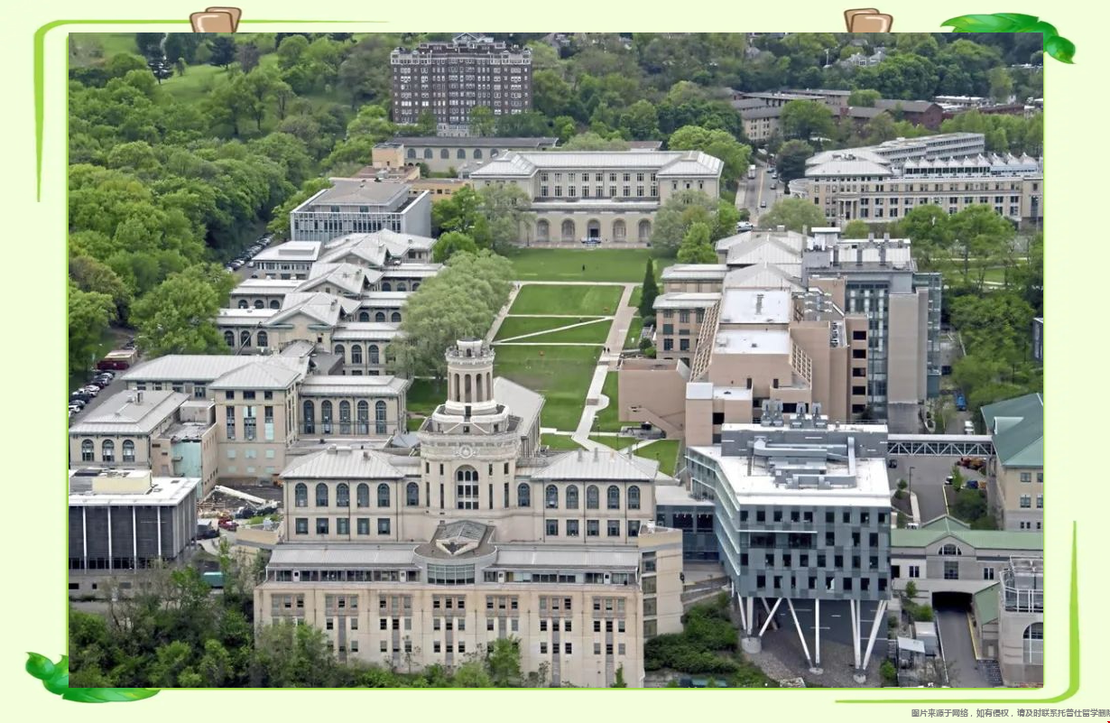 1774229773536600.png adec2acd218059db226d6efc1bffb8b5.png