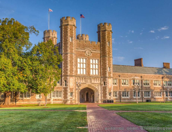 1775711535756805.png 圣路易斯华盛顿大学.png