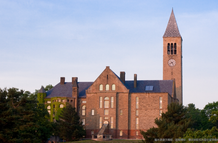 1775788481614013.png 康奈尔大学2.png