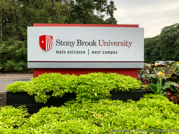 石溪大学.png