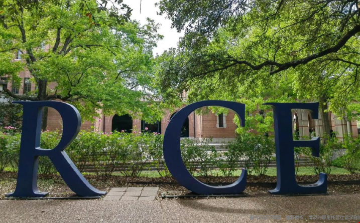 莱斯大学.png